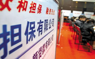 訴訟保全擔(dān)保業(yè)務(wù)與非融資性擔(dān)保的深度解析
