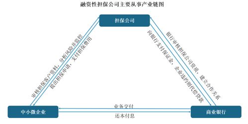 中國融資性擔保行業發展趨勢分析與投資前景預測報告 2022 2029年